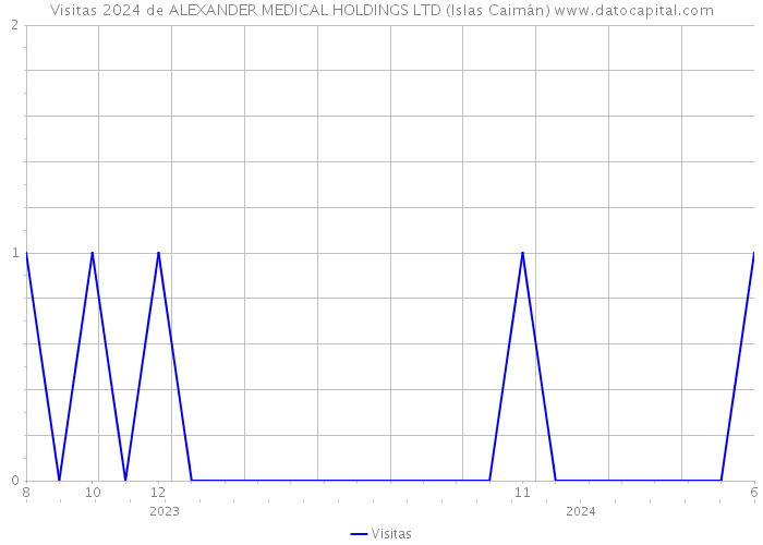 Visitas 2024 de ALEXANDER MEDICAL HOLDINGS LTD (Islas Caimán) 