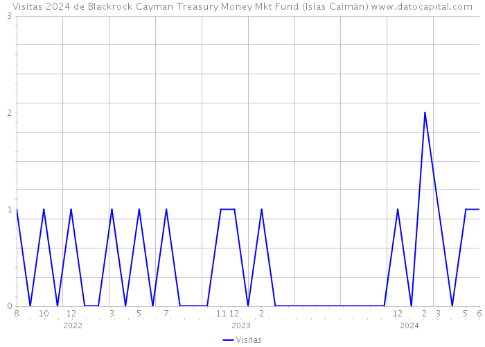Visitas 2024 de Blackrock Cayman Treasury Money Mkt Fund (Islas Caimán) 