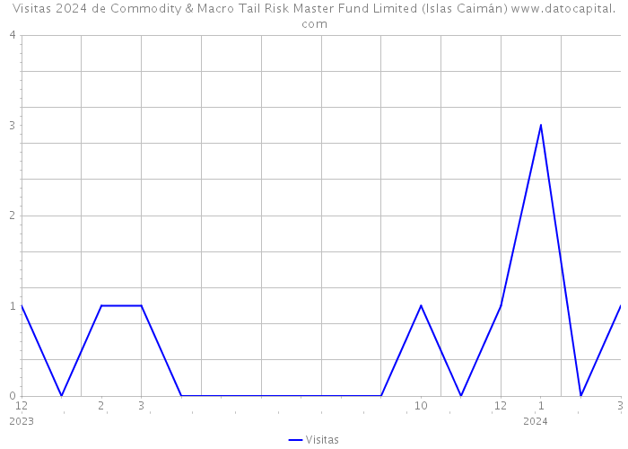 Visitas 2024 de Commodity & Macro Tail Risk Master Fund Limited (Islas Caimán) 