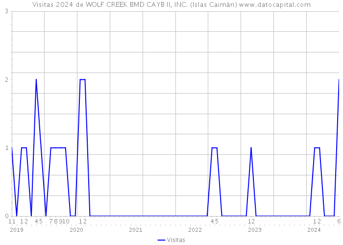 Visitas 2024 de WOLF CREEK BMD CAYB II, INC. (Islas Caimán) 