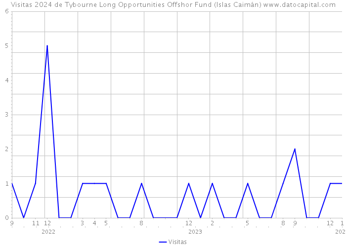 Visitas 2024 de Tybourne Long Opportunities Offshor Fund (Islas Caimán) 