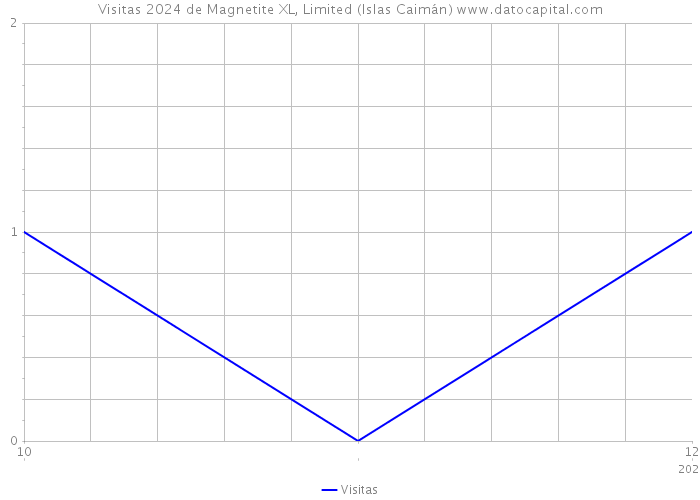 Visitas 2024 de Magnetite XL, Limited (Islas Caimán) 