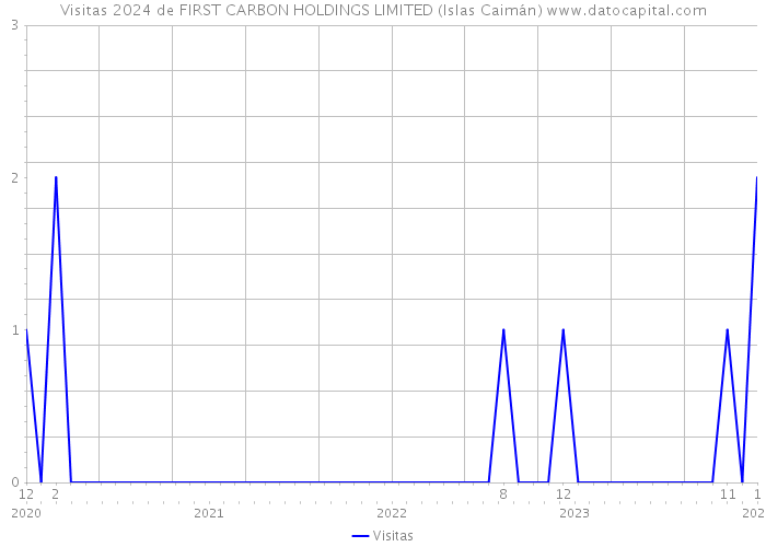 Visitas 2024 de FIRST CARBON HOLDINGS LIMITED (Islas Caimán) 