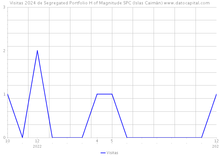 Visitas 2024 de Segregated Portfolio H of Magnitude SPC (Islas Caimán) 
