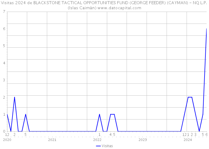 Visitas 2024 de BLACKSTONE TACTICAL OPPORTUNITIES FUND (GEORGE FEEDER) (CAYMAN) - NQ L.P. (Islas Caimán) 