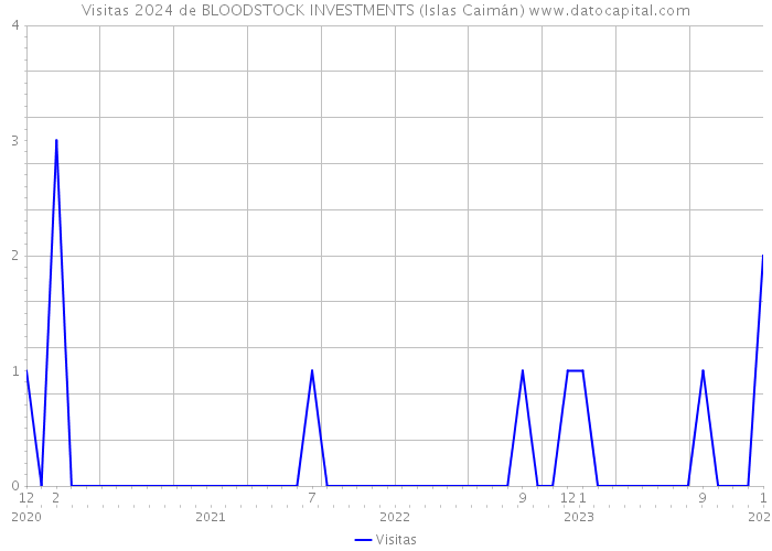 Visitas 2024 de BLOODSTOCK INVESTMENTS (Islas Caimán) 