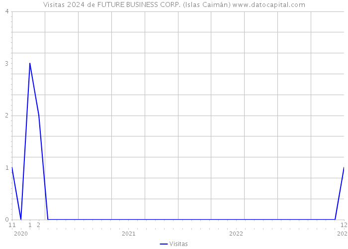 Visitas 2024 de FUTURE BUSINESS CORP. (Islas Caimán) 