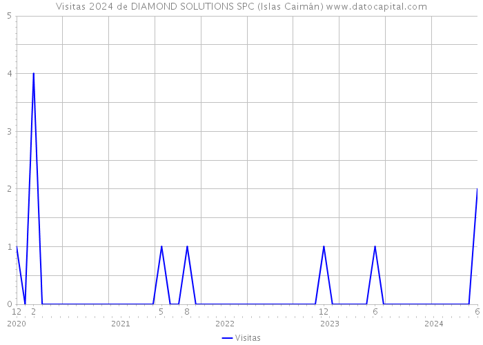 Visitas 2024 de DIAMOND SOLUTIONS SPC (Islas Caimán) 
