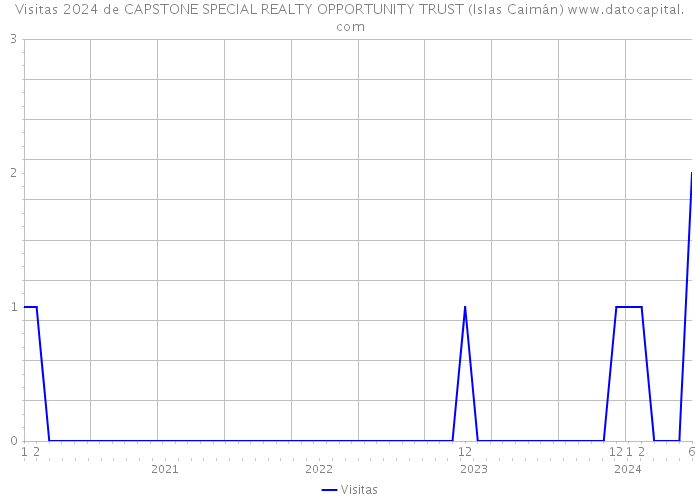 Visitas 2024 de CAPSTONE SPECIAL REALTY OPPORTUNITY TRUST (Islas Caimán) 