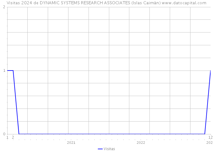 Visitas 2024 de DYNAMIC SYSTEMS RESEARCH ASSOCIATES (Islas Caimán) 