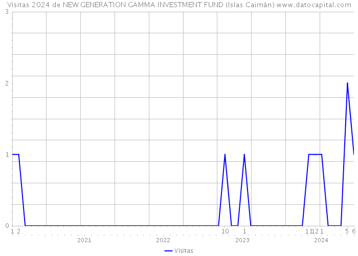Visitas 2024 de NEW GENERATION GAMMA INVESTMENT FUND (Islas Caimán) 