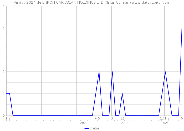 Visitas 2024 de ENRON CARIBBEAN HOLDINGS LTD. (Islas Caimán) 