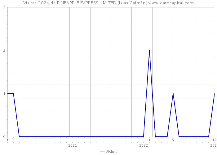 Visitas 2024 de PINEAPPLE EXPRESS LIMITED (Islas Caimán) 