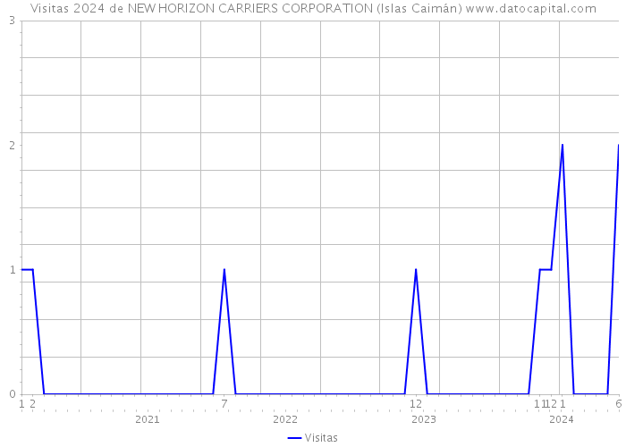 Visitas 2024 de NEW HORIZON CARRIERS CORPORATION (Islas Caimán) 