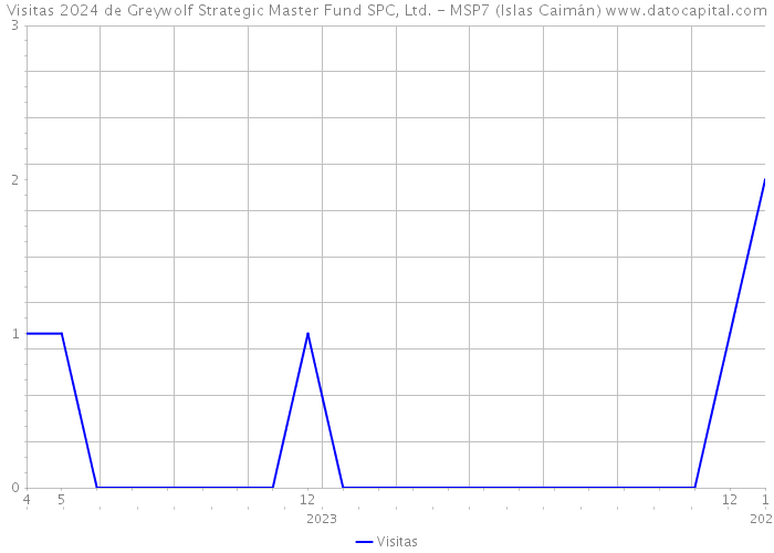 Visitas 2024 de Greywolf Strategic Master Fund SPC, Ltd. - MSP7 (Islas Caimán) 
