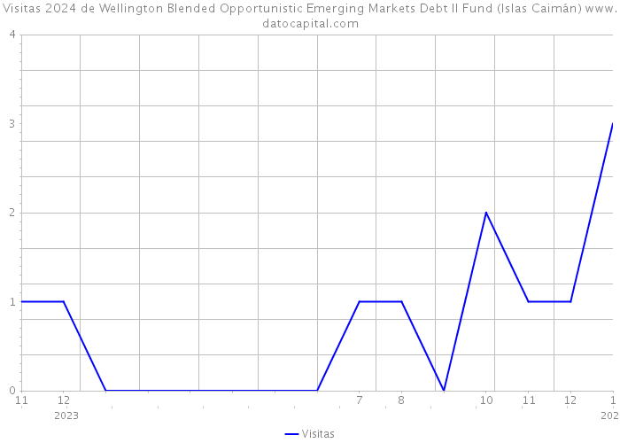 Visitas 2024 de Wellington Blended Opportunistic Emerging Markets Debt II Fund (Islas Caimán) 