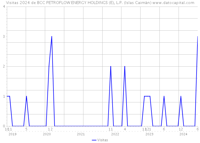 Visitas 2024 de BCC PETROFLOW ENERGY HOLDINGS (E), L.P. (Islas Caimán) 