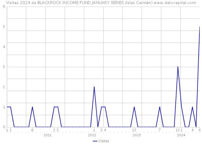 Visitas 2024 de BLACKROCK INCOME FUND JANUARY SERIES (Islas Caimán) 