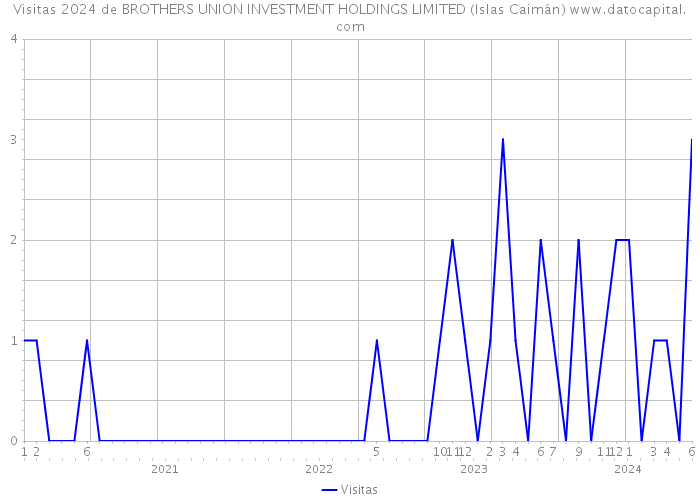 Visitas 2024 de BROTHERS UNION INVESTMENT HOLDINGS LIMITED (Islas Caimán) 