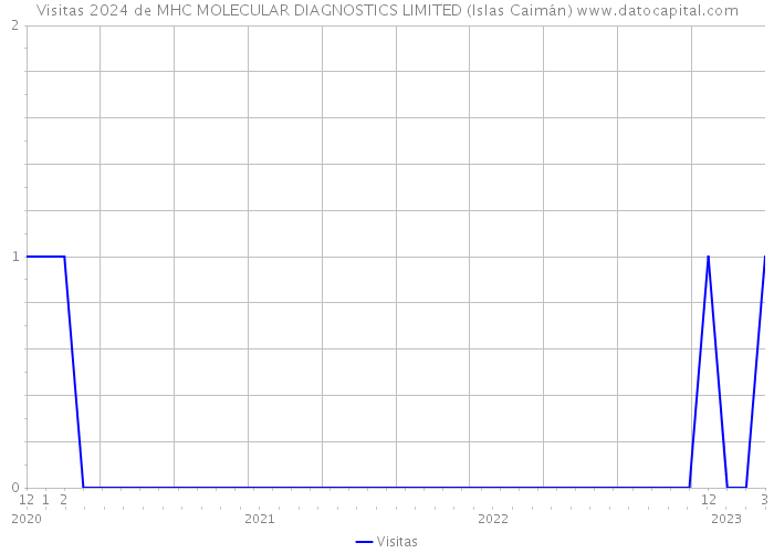 Visitas 2024 de MHC MOLECULAR DIAGNOSTICS LIMITED (Islas Caimán) 