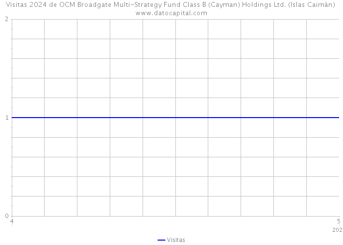 Visitas 2024 de OCM Broadgate Multi-Strategy Fund Class B (Cayman) Holdings Ltd. (Islas Caimán) 