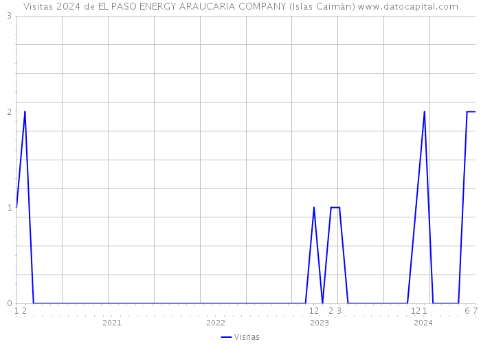 Visitas 2024 de EL PASO ENERGY ARAUCARIA COMPANY (Islas Caimán) 