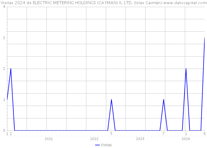 Visitas 2024 de ELECTRIC METERING HOLDINGS (CAYMAN) II, LTD. (Islas Caimán) 