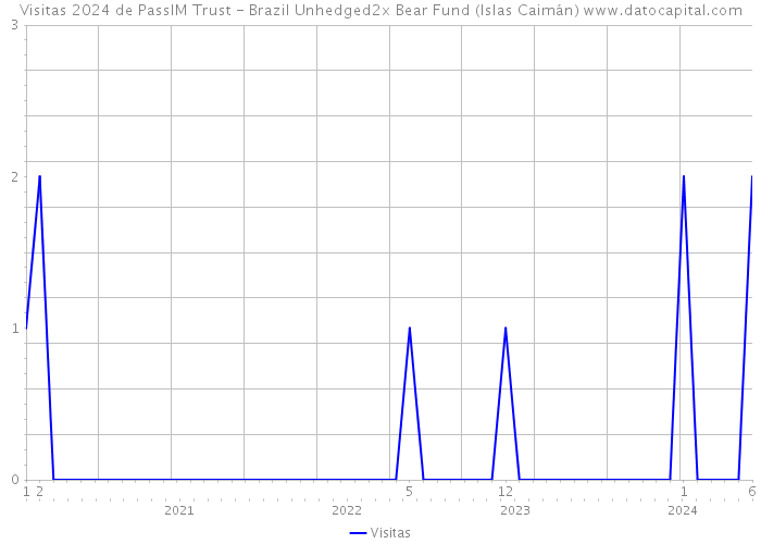 Visitas 2024 de PassIM Trust - Brazil Unhedged2x Bear Fund (Islas Caimán) 