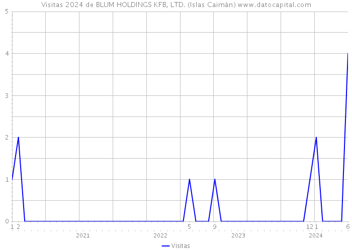 Visitas 2024 de BLUM HOLDINGS KFB, LTD. (Islas Caimán) 