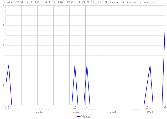 Visitas 2024 de J.P. MORGAN INCUBATOR (DELAWARE GP), LLC (Islas Caimán) 