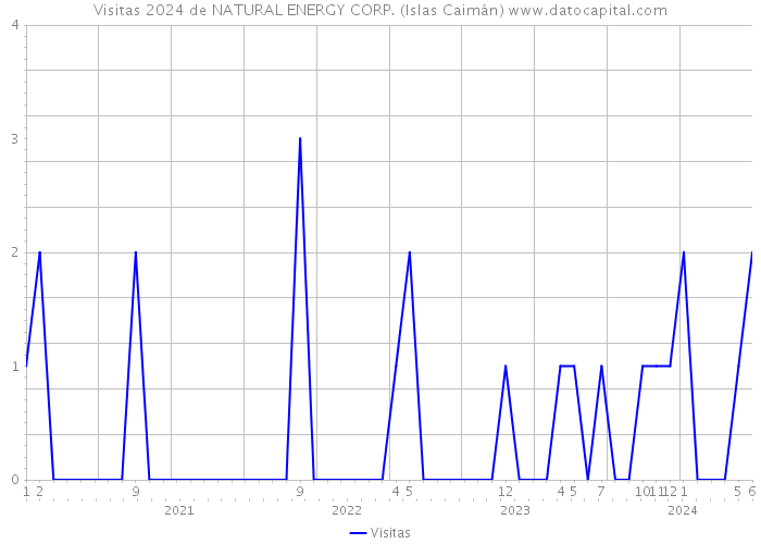 Visitas 2024 de NATURAL ENERGY CORP. (Islas Caimán) 
