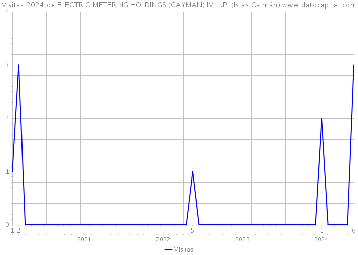 Visitas 2024 de ELECTRIC METERING HOLDINGS (CAYMAN) IV, L.P. (Islas Caimán) 