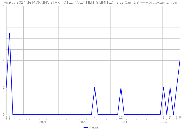 Visitas 2024 de MORNING STAR HOTEL INVESTMENTS LIMITED (Islas Caimán) 