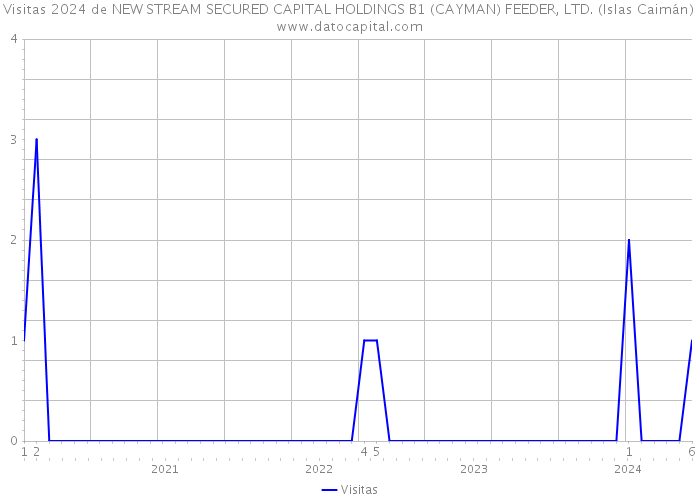 Visitas 2024 de NEW STREAM SECURED CAPITAL HOLDINGS B1 (CAYMAN) FEEDER, LTD. (Islas Caimán) 