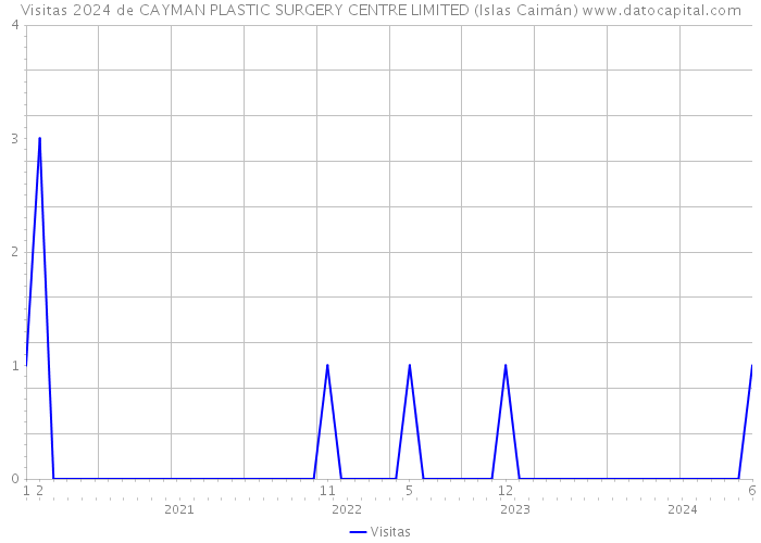 Visitas 2024 de CAYMAN PLASTIC SURGERY CENTRE LIMITED (Islas Caimán) 