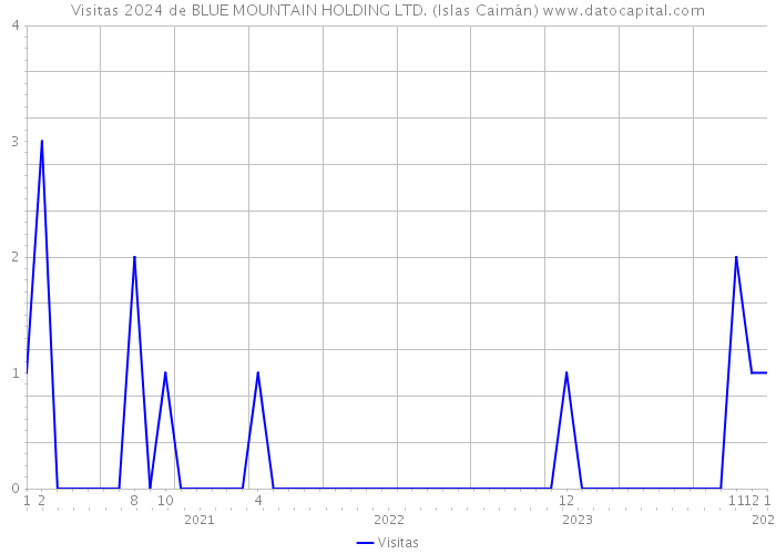 Visitas 2024 de BLUE MOUNTAIN HOLDING LTD. (Islas Caimán) 