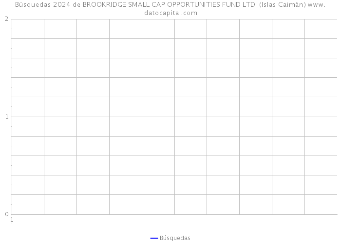 Búsquedas 2024 de BROOKRIDGE SMALL CAP OPPORTUNITIES FUND LTD. (Islas Caimán) 