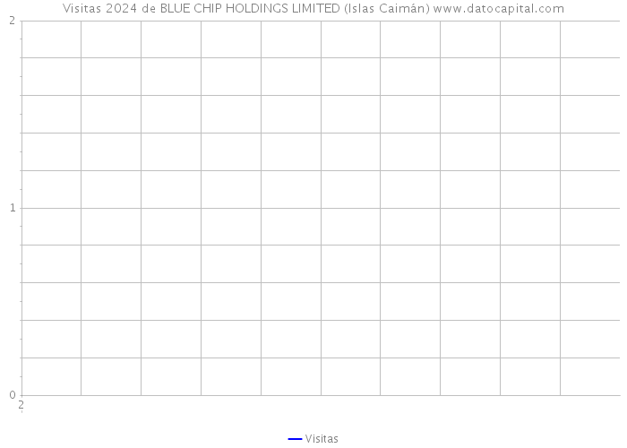 Visitas 2024 de BLUE CHIP HOLDINGS LIMITED (Islas Caimán) 