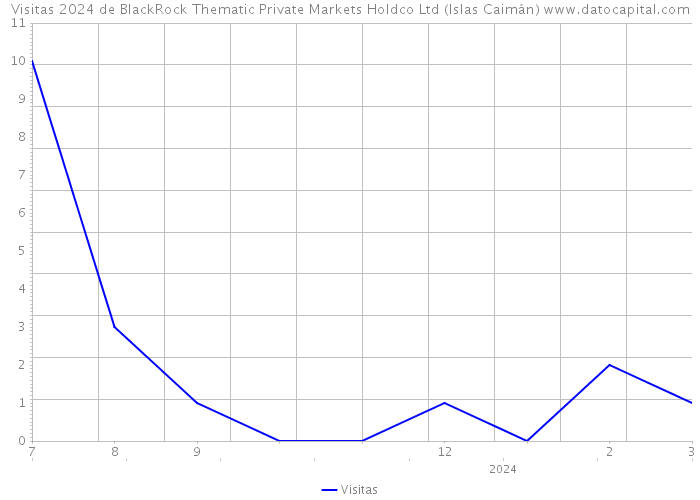 Visitas 2024 de BlackRock Thematic Private Markets Holdco Ltd (Islas Caimán) 