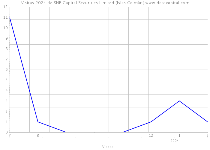 Visitas 2024 de SNB Capital Securities Limited (Islas Caimán) 