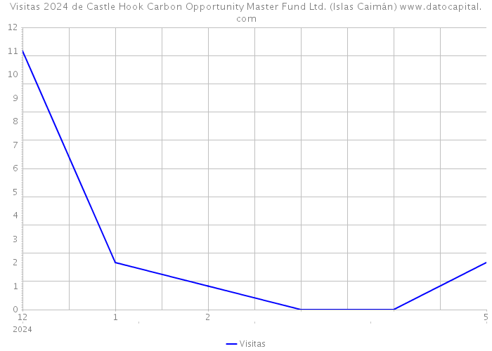Visitas 2024 de Castle Hook Carbon Opportunity Master Fund Ltd. (Islas Caimán) 