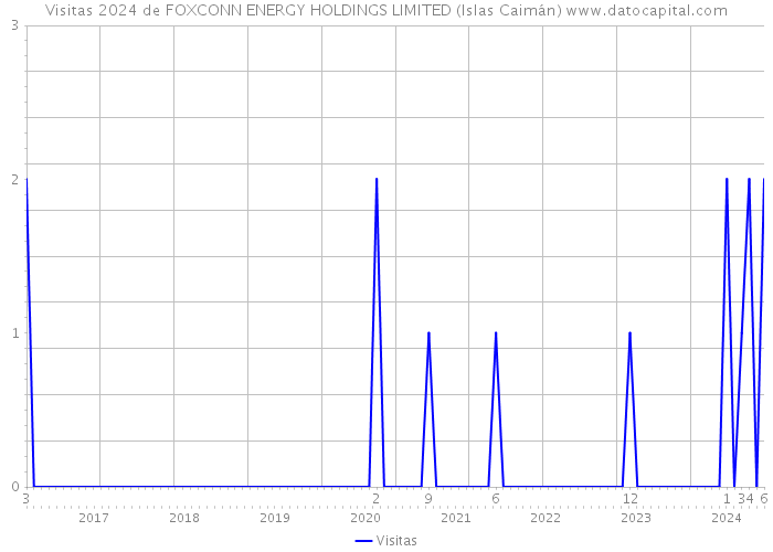 Visitas 2024 de FOXCONN ENERGY HOLDINGS LIMITED (Islas Caimán) 