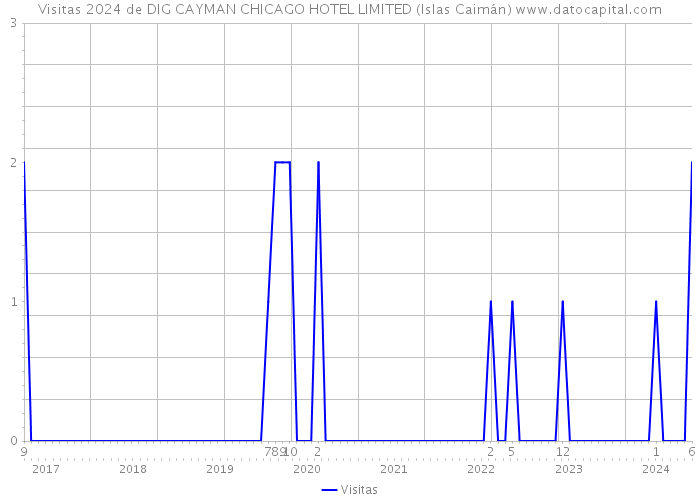 Visitas 2024 de DIG CAYMAN CHICAGO HOTEL LIMITED (Islas Caimán) 