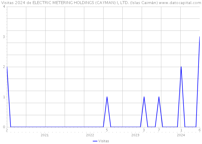 Visitas 2024 de ELECTRIC METERING HOLDINGS (CAYMAN) I, LTD. (Islas Caimán) 