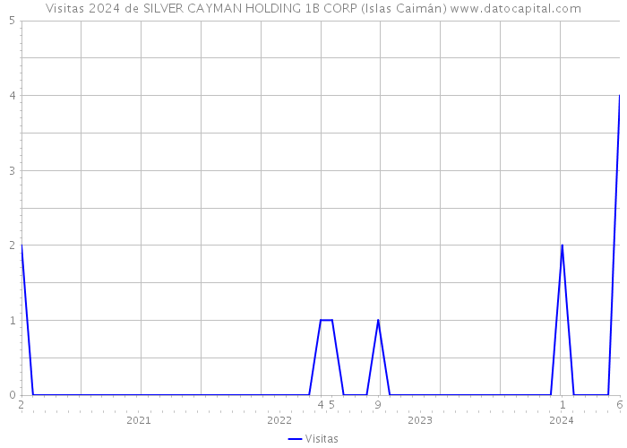 Visitas 2024 de SILVER CAYMAN HOLDING 1B CORP (Islas Caimán) 