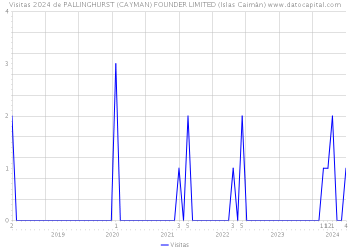 Visitas 2024 de PALLINGHURST (CAYMAN) FOUNDER LIMITED (Islas Caimán) 