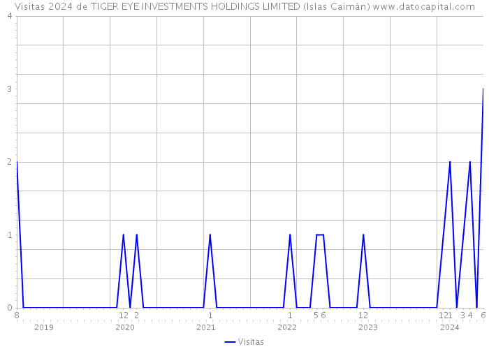 Visitas 2024 de TIGER EYE INVESTMENTS HOLDINGS LIMITED (Islas Caimán) 