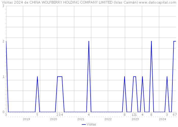 Visitas 2024 de CHINA WOLFBERRY HOLDING COMPANY LIMITED (Islas Caimán) 