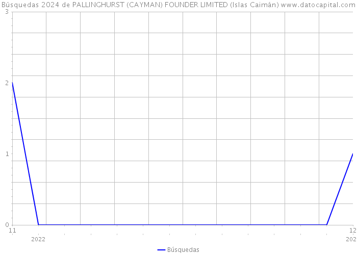 Búsquedas 2024 de PALLINGHURST (CAYMAN) FOUNDER LIMITED (Islas Caimán) 