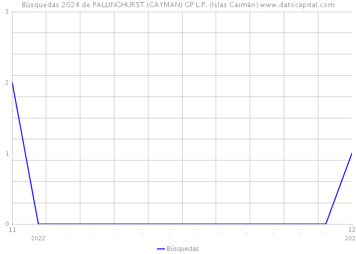 Búsquedas 2024 de PALLINGHURST (CAYMAN) GP L.P. (Islas Caimán) 